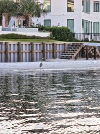 A serene scene featuring a bird standing along the shoreline, reflecting the tranquil beauty of coastal living.