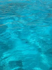 An abstract view of shimmering turquoise water, creating a serene aquatic atmosphere.