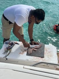A man skillfully prepares freshly caught fish on a boat, showcasing the excitement of fishing adventures on the water.