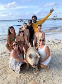 A group of friends interacts with a friendly pig on the beach, capturing a memorable wildlife encounter in the Bahamas.