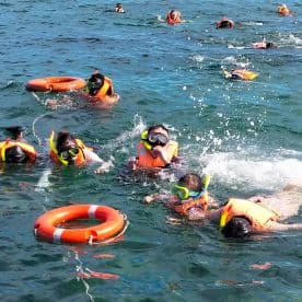 A lively group of snorkelers, including children, enjoy exploring underwater life while wearing bright life jackets — a fun and safe aquatic adventure.