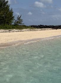 A scenic view of a beach with clear water and lush greenery, though the image lacks clarity and detail.