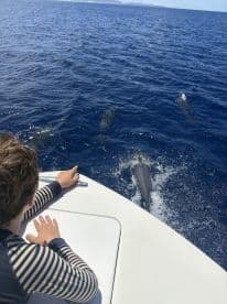 A child excitedly watches dolphins swimming alongside the boat, capturing a magical moment of wildlife interaction in the open sea.