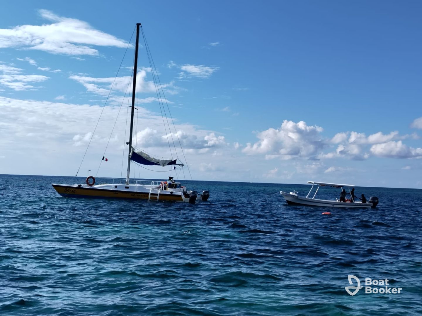 great snorkeling trip