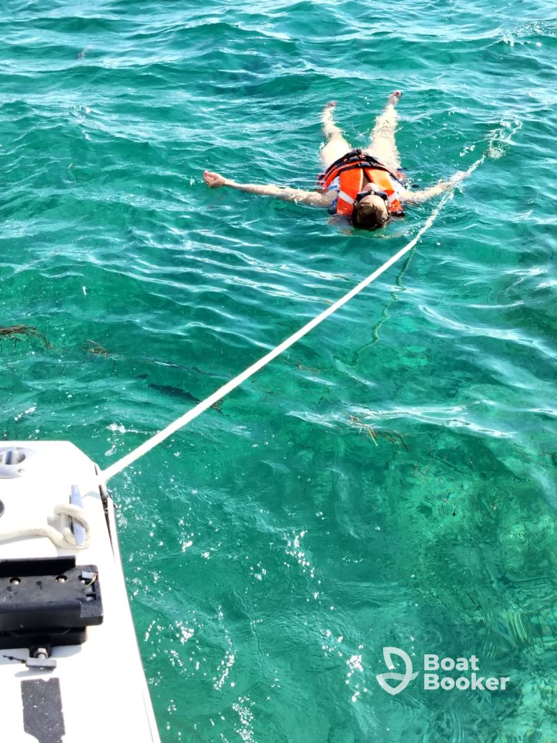 great snorkeling trip