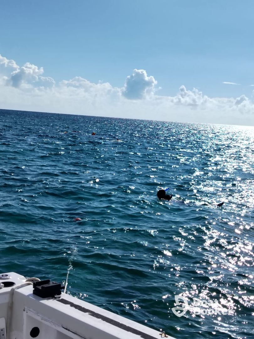 great snorkeling trip
