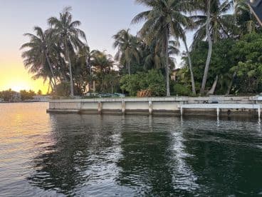 A scenic view of a waterfront area with palm trees and a dock at sunset, creating a tranquil atmosphere.