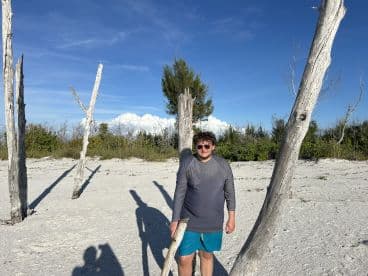 A person stands on a sandy beach surrounded by weathered trees, enjoying a sunny day in a picturesque setting.