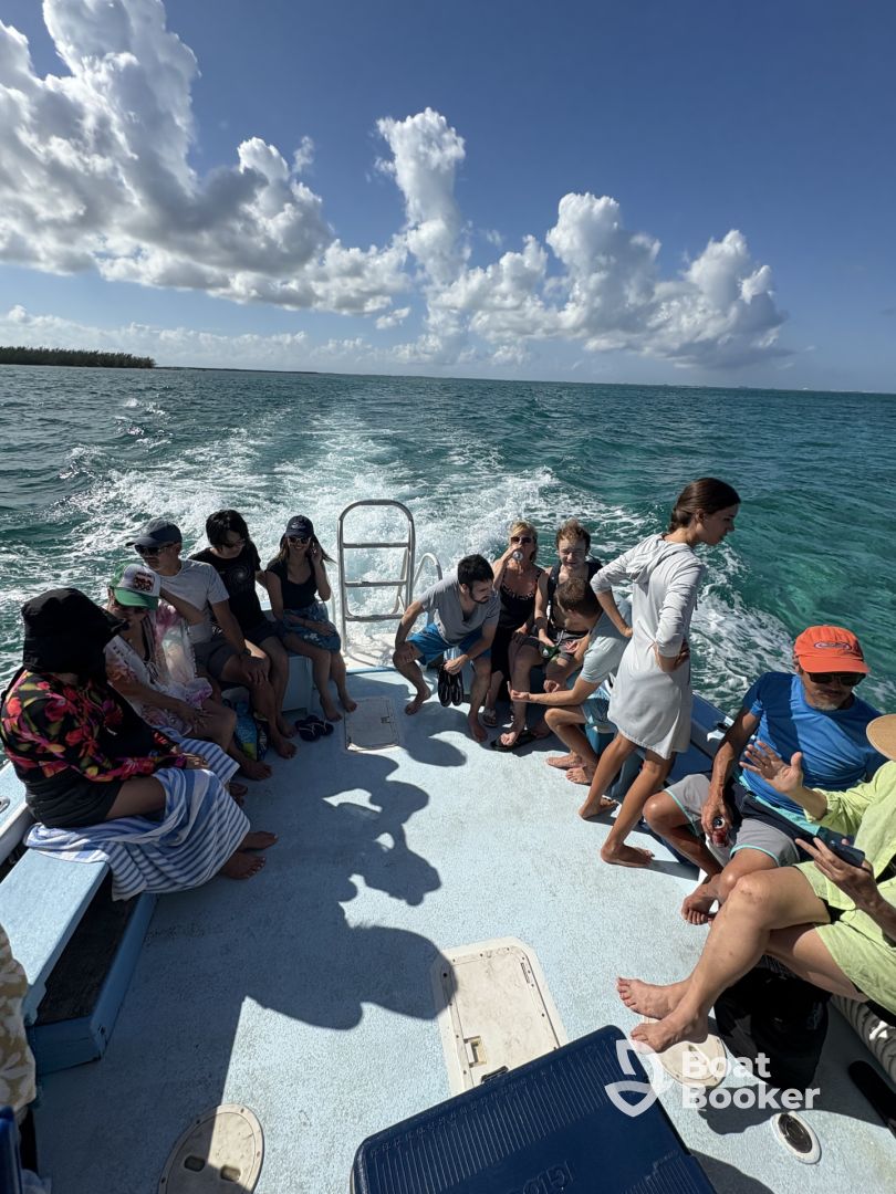 Sting ray city trip