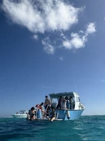 A lively group enjoys a fun day on the water, swimming and interacting with the boat, perfect for snorkeling adventures and group outings.