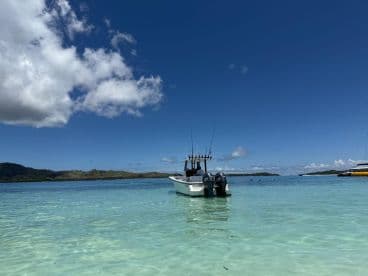 A sleek speedboat anchored in crystal-clear waters, surrounded by stunning scenery — perfect for a day of exploration and adventure on the water.