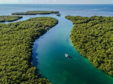 An aerial view of a boat navigating through a lush mangrove-lined waterway, showcasing the stunning natural beauty of the coastline.