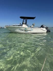 A sleek speedboat named 'Salty Soul Charters' is anchored in clear waters, showcasing its inviting design — perfect for a day of adventure on the water.