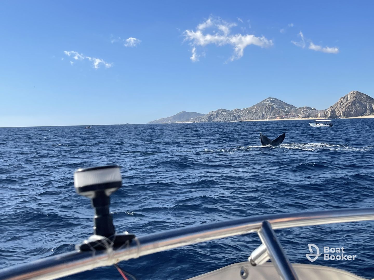 Great for whale watching!!