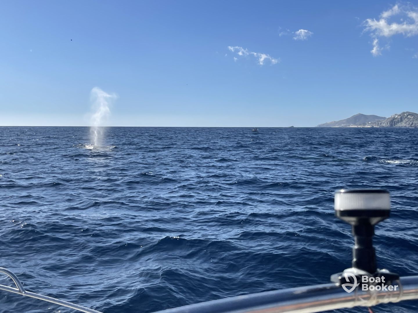 Great for whale watching!!