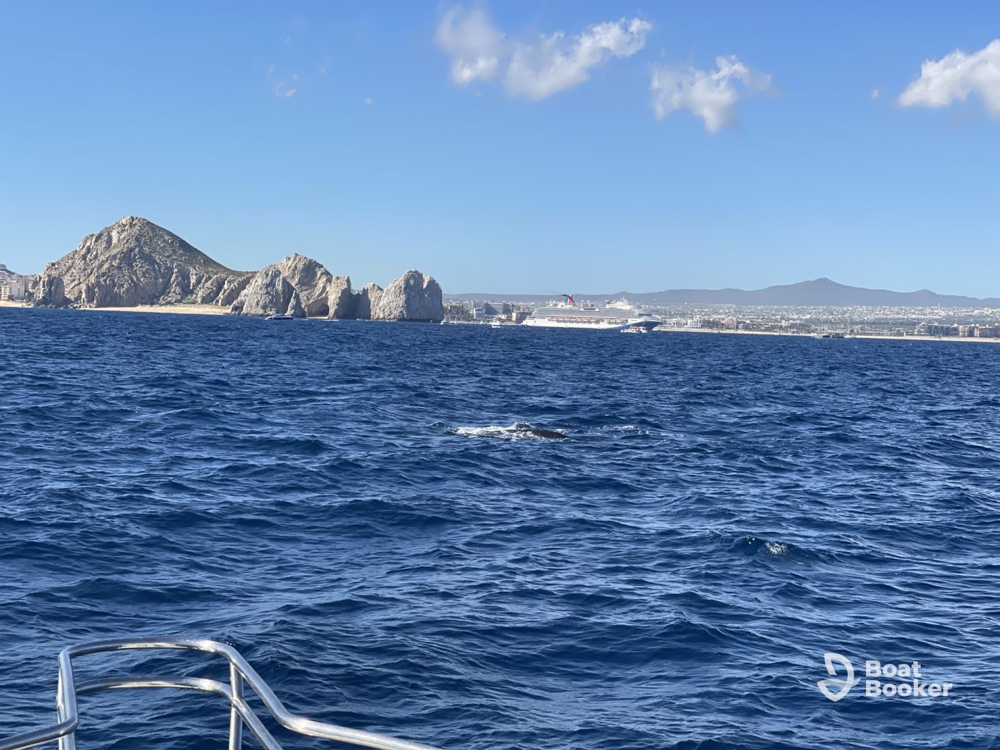 Great for whale watching!!