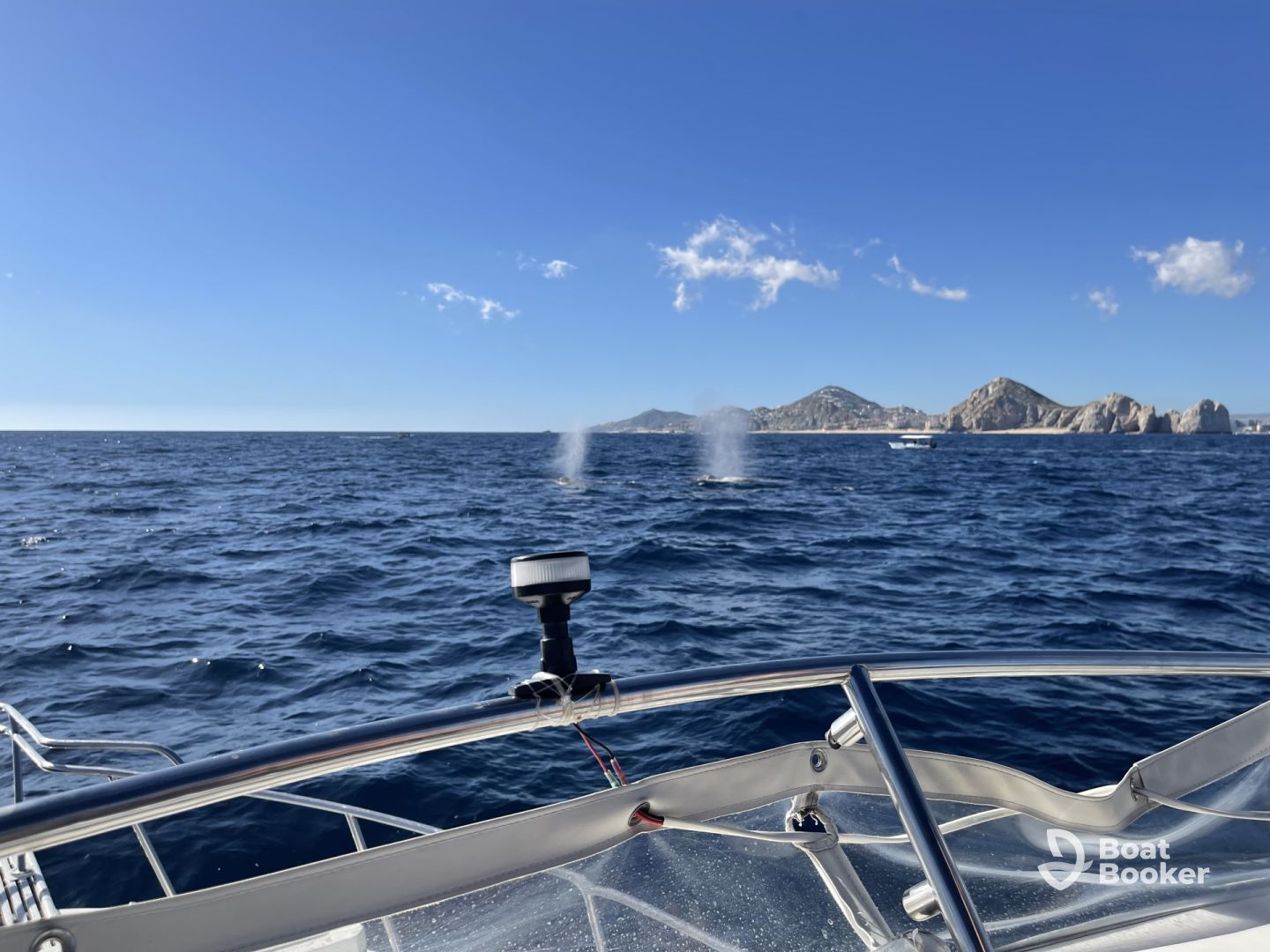 Great for whale watching!!
