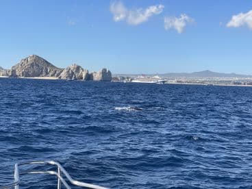 A stunning view of the iconic rock formations along the coastline, showcasing the natural beauty of the area — perfect for sightseeing and exploring.