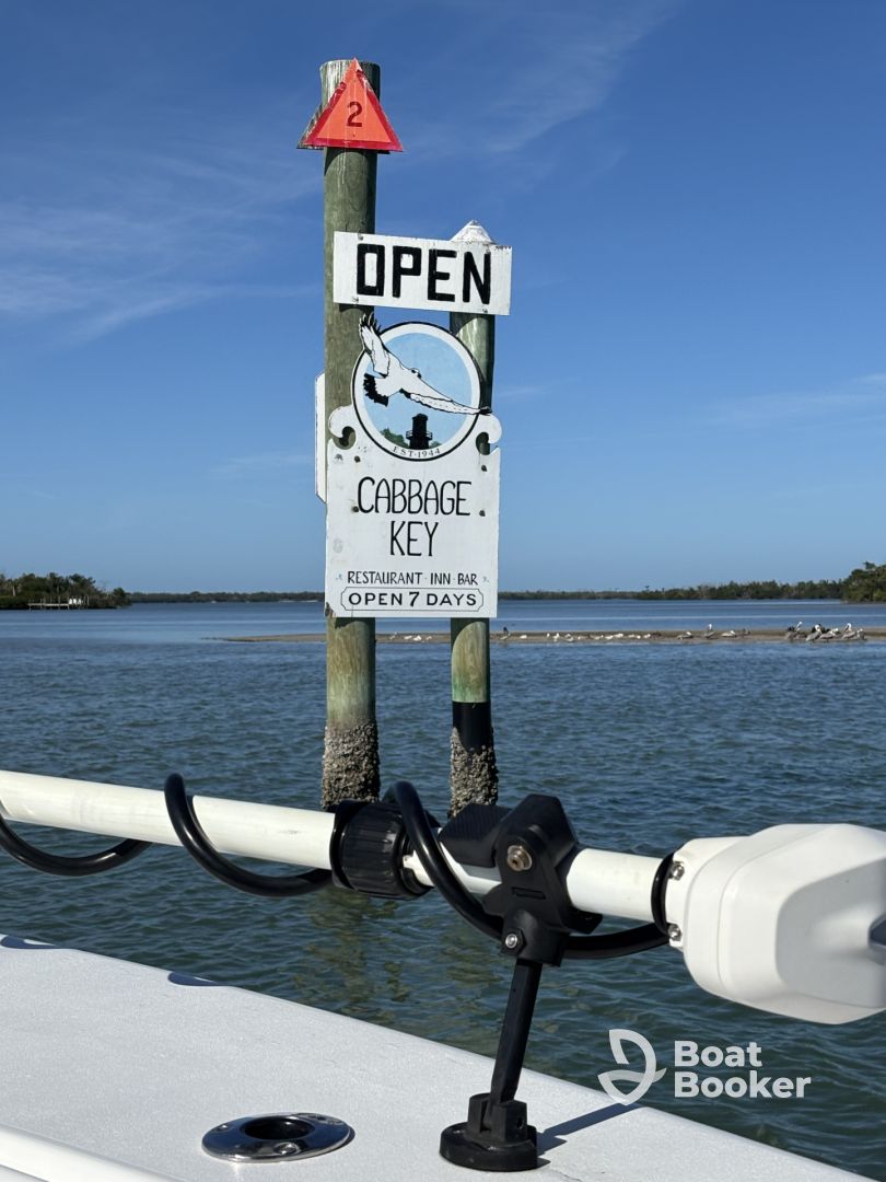 Five stars all the way!