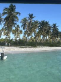 A blurry image capturing a beach scene with palm trees and a boat, featuring some people in the background. The lack of clarity makes it difficult to discern details.