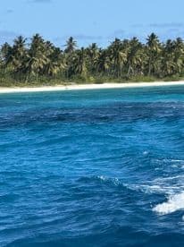 A stunning view of a tropical island with palm trees and a pristine beach, surrounded by vibrant turquoise waters — an idyllic destination for boat trips and relaxation.