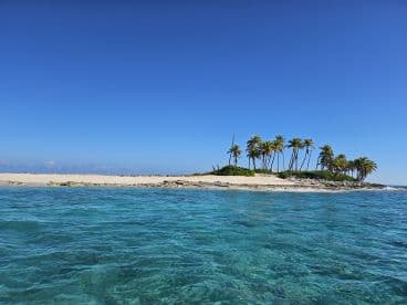 A stunning view of a secluded island with palm trees and crystal-clear waters, perfect for a tropical getaway or island hopping adventure.