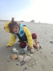 A young child in a life jacket explores the beach, discovering various seashells — a delightful moment of nature and curiosity.