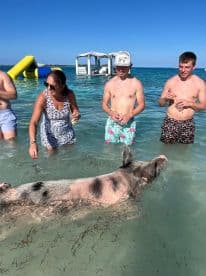 A group of people interacts with a swimming pig in shallow waters, creating a memorable wildlife experience in the Bahamas.