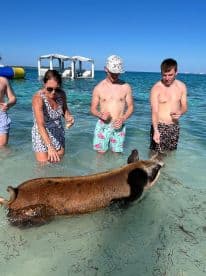 A group of friends interacts with a swimming pig in shallow waters, creating a memorable wildlife experience in the Bahamas.