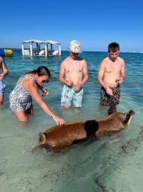 A group interacts with a friendly pig in shallow waters, creating a memorable wildlife experience in the Bahamas.