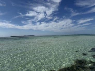 A serene view of clear waters and a distant island under a blue sky, perfect for showcasing the beauty of tropical destinations.
