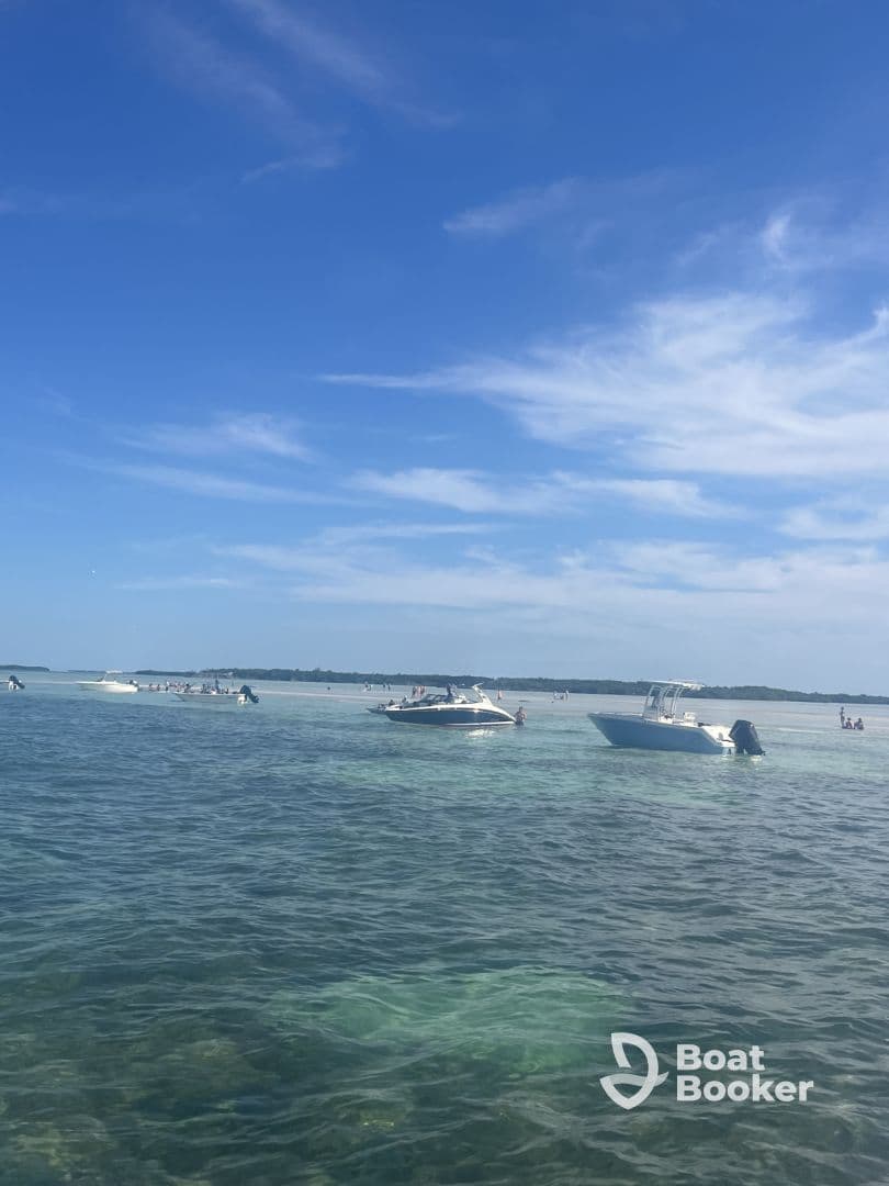 A vibrant scene at a sandbar with multiple boats and people enjoying the water — perfect for a fun day out on the water.