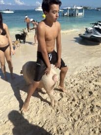 A young boy interacts with a pig on the beach, showcasing a fun and unique wildlife experience in the Bahamas — perfect for adventurous travelers.