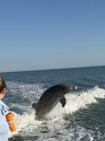 A dolphin leaps out of the water alongside a person enjoying a boat ride, showcasing a delightful moment of wildlife interaction in the open sea.