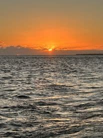 A stunning sunset over the ocean, casting vibrant orange hues across the water — a perfect backdrop for evening boat cruises.