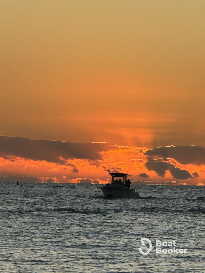 An unforgettable sunset sail with an outstanding captain