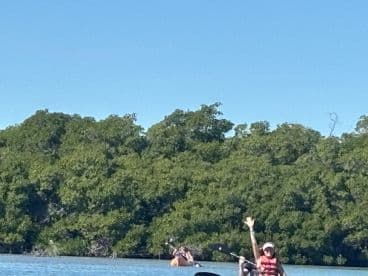 A group enjoys kayaking through a serene mangrove setting, showcasing the beauty of outdoor adventures on the water.