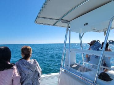 A group of guests enjoys the scenic ocean view from the deck of a boat, perfect for a day of exploration and adventure on the water.