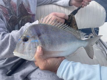 A close-up of a freshly caught fish being held by an angler on a boat, showcasing the beauty of fishing adventures on the water.