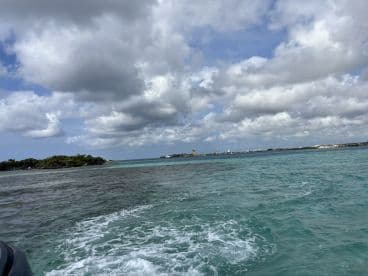 A picturesque view of a coastline with lush greenery and turquoise waters, perfect for showcasing the beauty of island destinations.