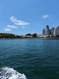 A scenic view of a vibrant city skyline from the water, showcasing the beautiful blend of urban architecture and nature — perfect for sightseeing tours.