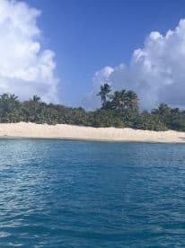 A serene view of a secluded beach with lush greenery and clear blue waters, perfect for a tranquil getaway or island exploration.