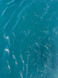 An abstract view of shimmering turquoise water, capturing the essence of a serene aquatic environment.
