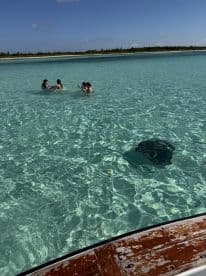 A group of friends enjoys a unique experience swimming with stingrays in crystal-clear waters, capturing the thrill of wildlife interaction in a tropical paradise.