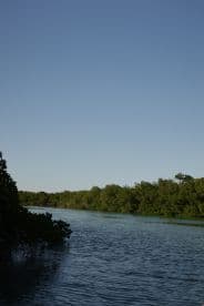 A serene view of a winding waterway surrounded by lush mangroves, perfect for eco-tours and nature exploration.
