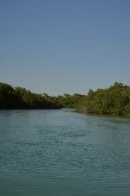 A serene view of a winding waterway surrounded by lush greenery, ideal for exploring nature and enjoying peaceful boat rides.