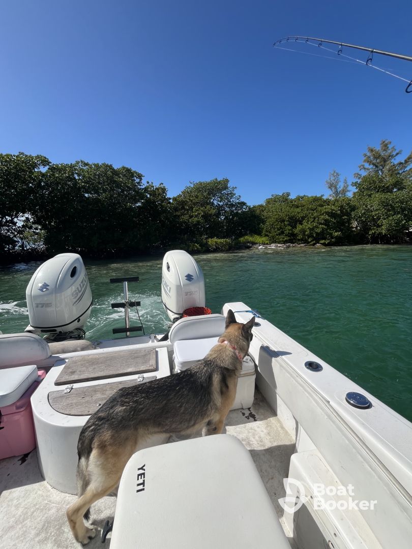 Best charter in key west!