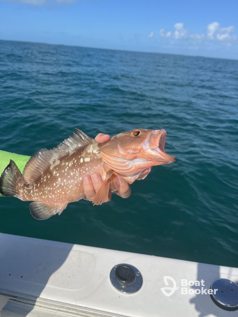 Best charter in key west!