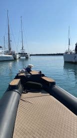 A charming dog relaxes on the bow of a boat in a marina, surrounded by other vessels — a perfect scene for pet lovers enjoying a day on the water.