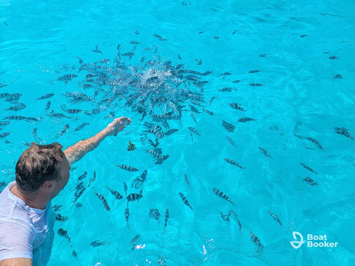 Perfect Snorkeling-Tour